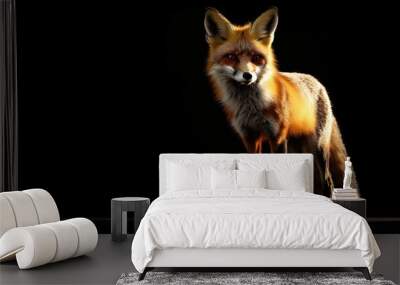 A realistic depiction of a fox illuminated against a dark background. Wall mural