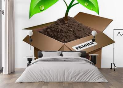 box plant fragile Wall mural