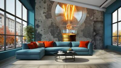 A Single Lit Incandescent Light Bulb Against A Grey Textured Wall Wall mural