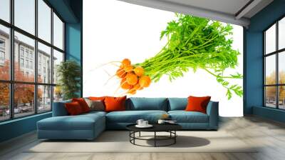 bunch of fresh round carrots, organic vegetables, vegetarian food. Wall mural