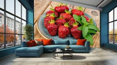 Red ripe strawberries on blue plate. Photo Wall mural