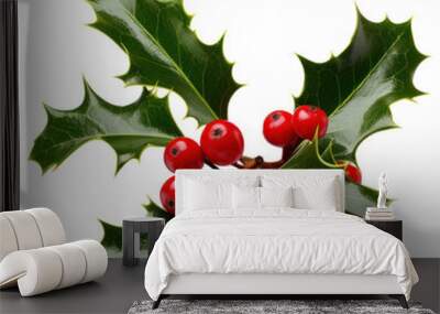 Sprig of European holly isolated Wall mural