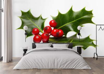 Sprig of European holly isolated Wall mural