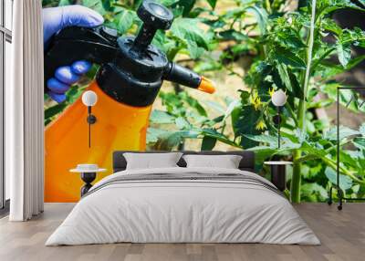 Treatment of tomato from pests and diseases Wall mural