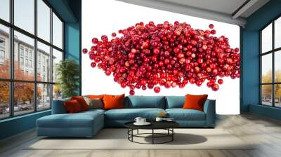 Wild lingonberries on white background Wall mural