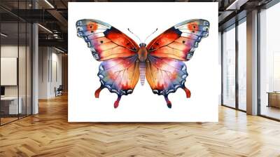 Colorful butterfly isolated on white background Wall mural