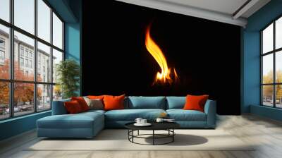 A small fire that burns On a black background Wall mural