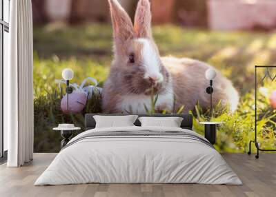 Easter white bunny with easter eggs sitting in the grass Wall mural