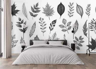 a collection of black and white leaf drawings. sketch floral elements for design in imprint stamp sl Wall mural