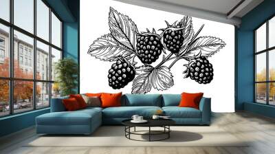 Blackberry or raspberry hand drawn ink sketch. Engraving vintage style vector illustration. Wall mural