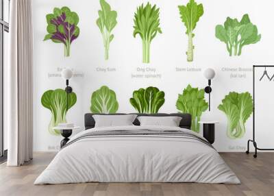 Bok Choy, Tatsoi, Chinese Celery, Cabbage, Broccoli and Gai Choy. Asian green fresh leafy vegetables set. Healthy natural vegetarian food. Hand drawn flat vector illustration. Wall mural