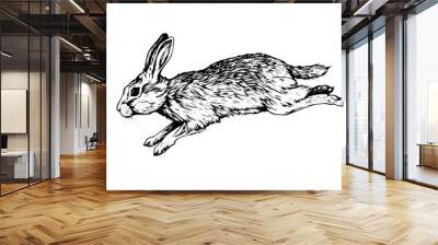 Engraving rabbit on white background .Vector ink sketch illustration. Wall mural