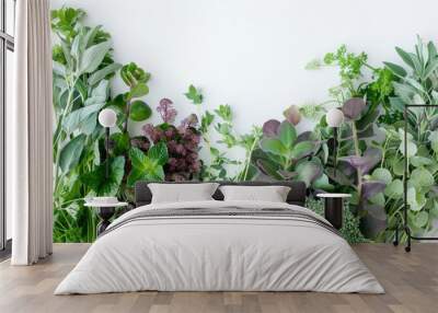 Fresh Herbal Leaves and Green Plants on White Background for Healthy Lifestyle Wall mural