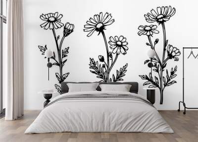 Hand drawn chamomile ink sketch. Daisy flower engraving vector illustration. Wall mural