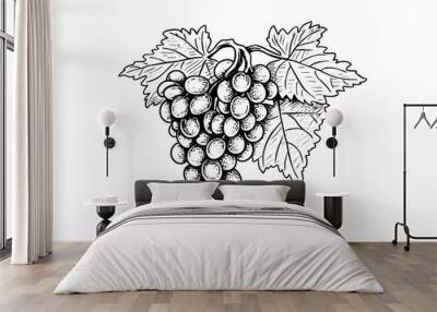 Hand drawn ink sketch of grape on the branch. Engraving style vector illustration. Wall mural