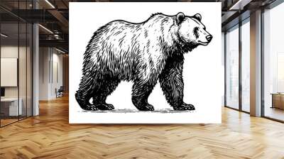 Ink hand drawing sketch bear mascot or logotype. Vector Illustration in engraving style. Wall mural