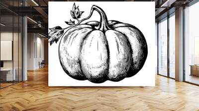 Ink sketch of pumpkin isolated on white background. Hand drawn vector illustration. Wall mural