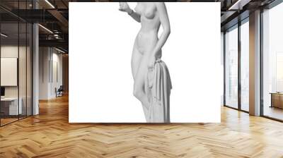 Classic white marble statue woman of a white background Wall mural