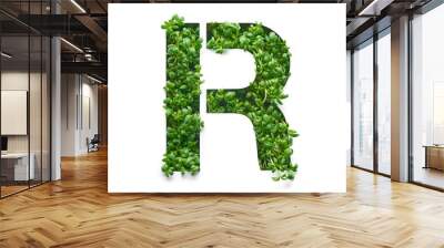 Capital letter R is created from young green arugula sprouts on a white background. Wall mural