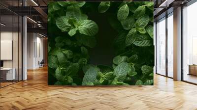 Young greens of fresh mint. Wall mural