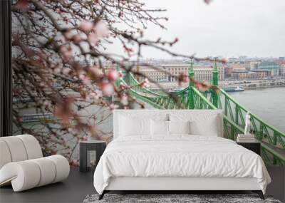 bridge over the danube river in budapest Wall mural