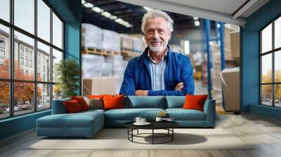 portrait of a senior man at work in warehouse, copy space Wall mural