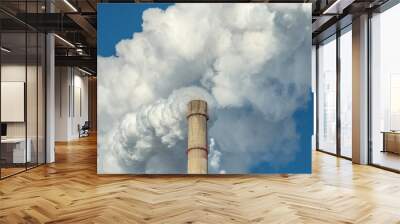 Powerful industrial factory chimney is smoking and polluting the environment with carbon dioxide Wall mural