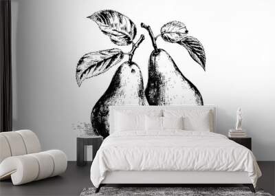 Set of pears. Ink sketch isolated on white background. Hand drawn vector illustration. Wall mural