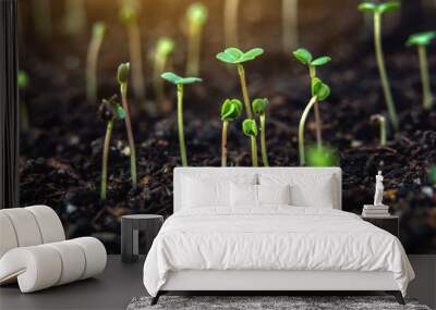 The first leaves of green plants who rise in the fertile land. Concept of gardening and plant care Wall mural