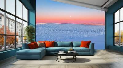 winter landscape with snow Wall mural