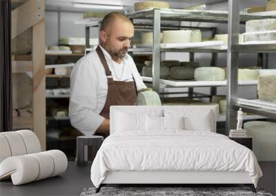 Male cheese maker checks the maturation of cheese on the shelves in the maturation and storage room. Wall mural