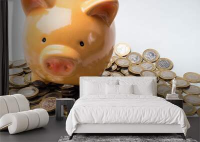 Money accumulation concept. Money and piggy bank isolated on white background Wall mural