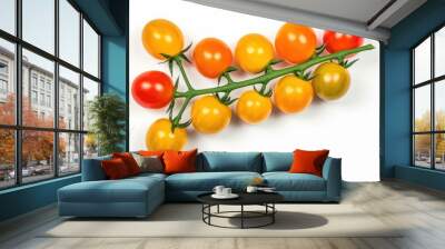 Red and yellow cherry tomatoes on a twig Wall mural