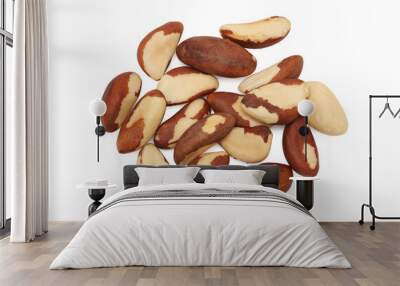 Brazil nuts on white background Wall mural