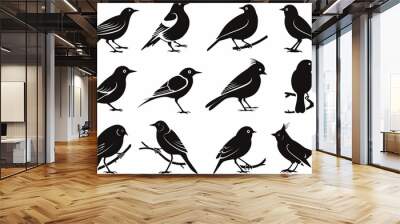 Bird icon set, black and white sparrow symbols, bird sign collection, wild animal pictograms on white Wall mural