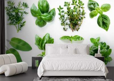 Fresh herbs set isolated, parsley, basil leaves, thyme, mint seasoning, raw green condiment sprig collection Wall mural