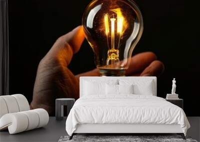 Hands holding light bulb, warm lamp in hands, new ideas, great inspiration, eco energy, innovation banner Wall mural