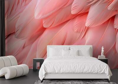 Pink Feathers Background, Flamingo Plume Pattern, Wings Feather Texture with Copy Space Wall mural