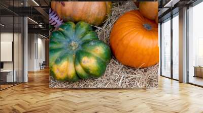 Beautiful ripe pumpkins lie on the straw. Farmers autumn harvest. Gorgeous autumn background with pumpkins. Wall mural