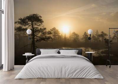 Sunrise in the bog landscape. Misty marsh, lakes nature environment background Wall mural