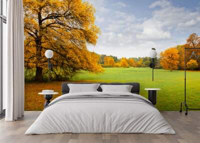 Panorama. Lonely beautiful autumn tree. Autumn. Wall mural