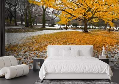 Park in Autumn. The first snow. Wall mural