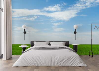 beautiful green field and blue sky Wall mural