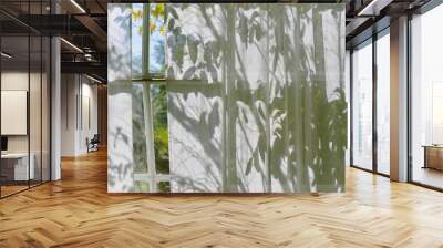 Shadow on curtain window in living room with warm and cozy natural light, Sunlight shining through tree leaves on shade, Wind waving sheer curtain by morning breeze. Wall mural