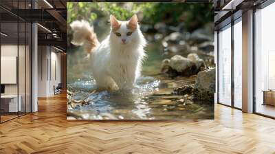 Turkish Van Cat, Paddling in a shallow stream Wall mural