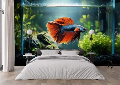 A betta fish in a beautifully arranged tank with clear, open space around it. The unobstructed background is ideal for adding text. Wall mural