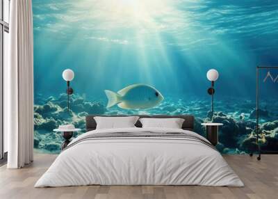 A calm underwater scene featuring a single sea fish resting on the ocean floor, with a soft and natural light Wall mural