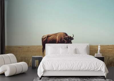 A solitary buffalo in a serene pasture with a clear sky above, offering ample space for text or copy. Wall mural