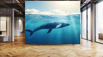 A whale swimming near the surface with a clean, bright ocean backdrop. The clear water and unobstructed background offer ample space for text. Wall mural