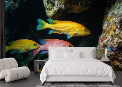 Colorful sea fish swimming near a rocky underwater structure, highlighting their natural habitat and vivid coloration Wall mural